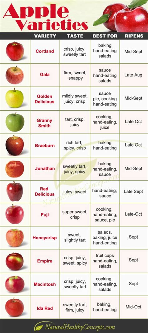 Click to view a fun infographic featuring 12 types of apples as well as ...