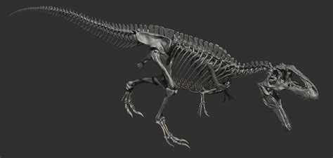 ArtStation - Giganotosaurus skeleton, Vitamin Imagination | Prehistoric ...