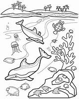20 Free Printable Ocean Coloring Pages Everfreecolori  Vrogueco sketch template