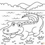 Cute Alligator coloring page  Free Printable Coloring Pages sketch template
