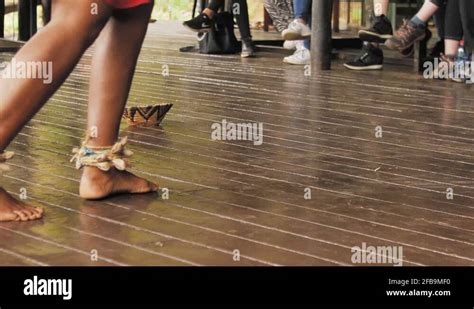 Zulu Lady Stomping Feet During Traditional Zulu Dance in Swaziland With ...