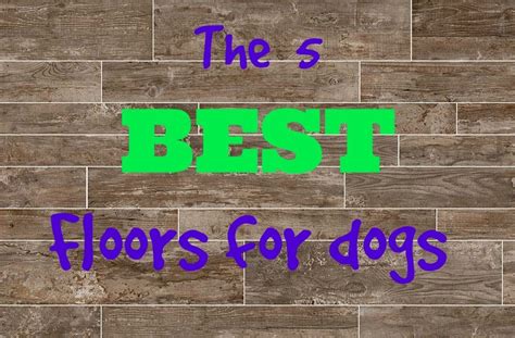 What's the best flooring for dogs? We've gathered the top 5 dog friendly flooring options to ...