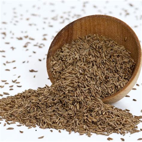 Caraway Seeds | Persian Cumin | German Cuisine Spices