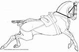 Category Dressage  Coloring Book By JNFerrigno sketch template
