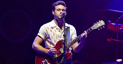 Niall Horan's Best Performances | POPSUGAR Entertainment