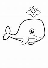 Little Whale coloring Page  Download Print Or Color Online For Free sketch template
