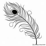 Peacock Feather Coloring Pages  Free & Printable sketch template