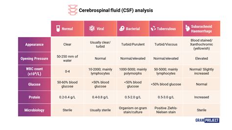 Cerebrospinal fluid (CSF) analysis | Cerebrospinal fluid, Nursing notes, Neurology