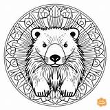 Beaver Mandala Coloring Page  Free Printable For Adults sketch template