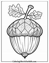 Acorn Coloring Pages  Coloring Sheets For Kids sketch template