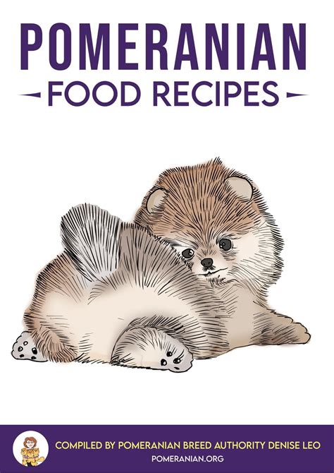 Pomeranian Food Recipes | Pomeranian dog, Pomeranian, Pomeranian breed