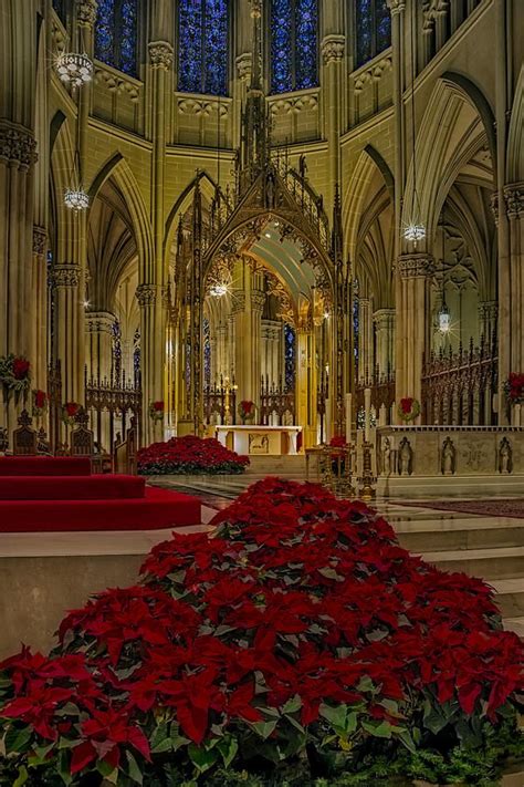 Saint Patricks Cathedral Photograph by Susan Candelario | New york city ...