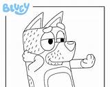 Colour In Bandit  Cbeebies sketch template