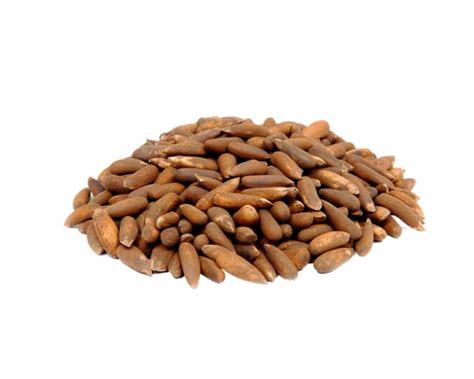 Fresh Black Roasted Pine Nuts (with shell) - 1Kg - Leyjao.pk