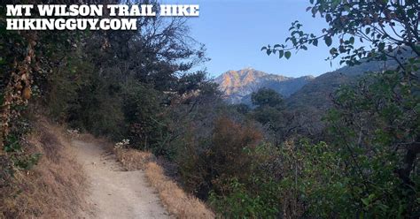 Mt Wilson Trail Hike – HikingGuy.com