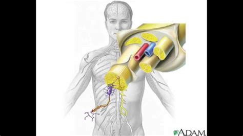 #Nervous system and Nerve Conduction Overview - Animation - MADE EASY - Medical Institution # ...