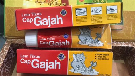 Mengenal 3 Jenis Perangkap Tikus Unggulan Besutan Cap Gajah - Kumpulan Artikel Indonesia