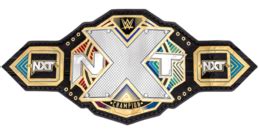 NXT Championship - Wikipedia