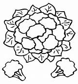 Cauliflower Coloring Pages  Free Printable For Kids sketch template