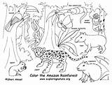 Animal Habitat Coloring Pages At GetDrawings  Free Download sketch template