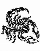 Scorpion coloring Pages To Download And print For free sketch template