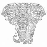 Adult Coloring Page Elephant  Pages Mimi Panda sketch template