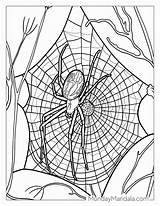28 Spider Coloring Pages Free PDF Printables sketch template