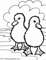 Farm Coloring Pages  The Barn sketch template