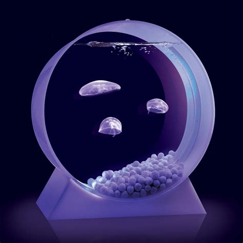 Jellyfish Aquarium - The Green Head