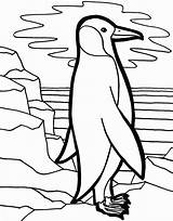 Cute Baby Penguin Coloring Pages  Home sketch template