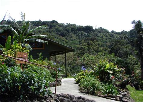 Monteverde Cloud Forest Lodge - Tour Operators Costa Rica