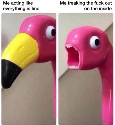 plastic flamingo - Meme by DaMusicGamer :) Memedroid