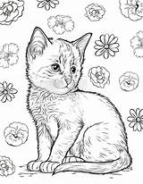 8 Cat Coloring Pages  The Graphics Fairy sketch template