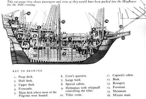 The Mayflower & the Leaky Speedwell - JONES GATHERING PLACE