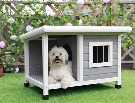 How to Choose the Best Insulated Dog House to Keep Your Dog Warm - Your ...