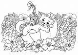 Download Umbrella Cat Coloring Pictures  Wallpaperscom sketch template