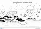 12 Free Water Cycle coloring Pages And diagrams  ESL Vault sketch template