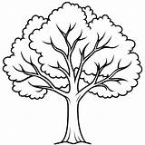 Elm tree Outline coloring book Page Line Art Drawing  Premium AI sketch template