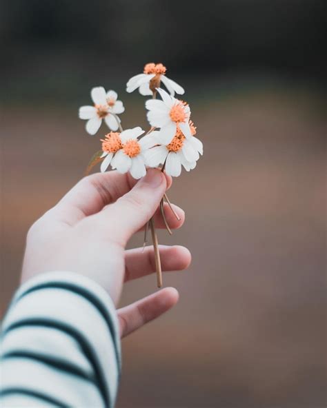 #Hands #Flower #Photographer #Photography #Girl 😌 | Çiçek, Pembe noel ...