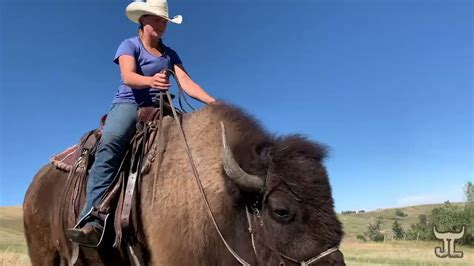 Girl Rides an American Bison - YouTube