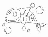 X Ray Fish Coloring Pages Sketch Coloring Page sketch template