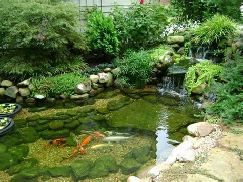 Koi pond design ideas – add a Japanese garden feature to your landscape