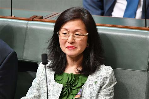 'Creeping distrust': our anxiety over China's influence is hurting Chinese-Australians