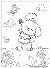 Poodle Coloring Pages  Free Printable PDF JPG PNG & Online Coloring sketch template