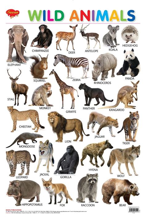 Animals Names In Telugu English