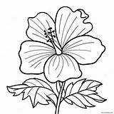 Hibiscus Flower Coloring Page 6990 5568 sketch template