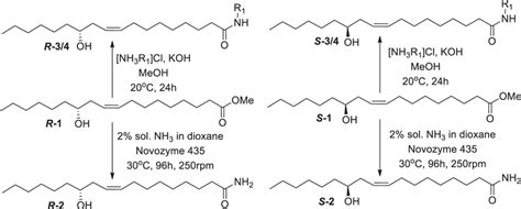 Synthesis of (R)- and (S)-ricinoleic acid derivatives: primary amides... | Download Scientific ...