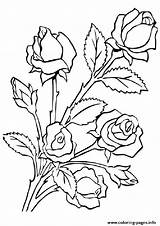 20 Free Rose Coloring Pages For Kids And Adults sketch template