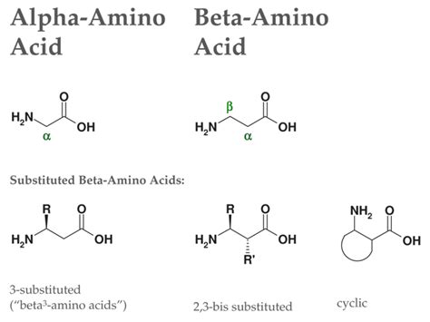 Beta2-Amino Acids: Synthesis Approaches & Compounds - ChiroBlock Chiroblock GmbH