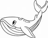 Whale Isolated Coloring Page For Kids 8208761 Vector Art At Vecteezy sketch template